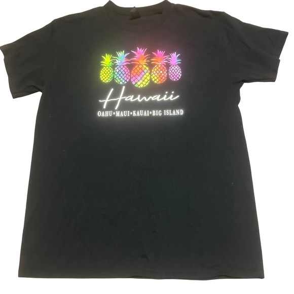 Gildan Other - Mens Hawaii Rainbow Pineapple T-Shirt Large Black Souvenir Graphic Heavy Cotton